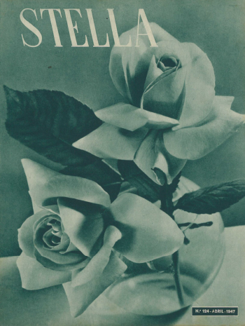 Ver capa da edição Stella Nº124