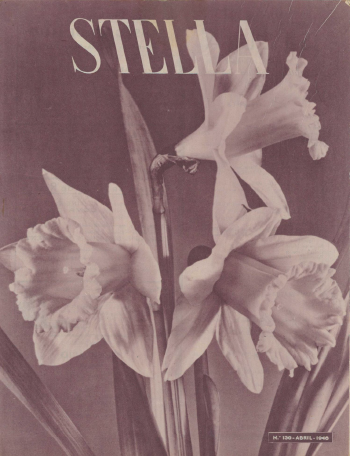 Ver capa da edição Stella Nº136