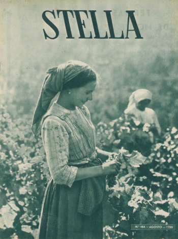 Ver capa da edição Stella Nº164