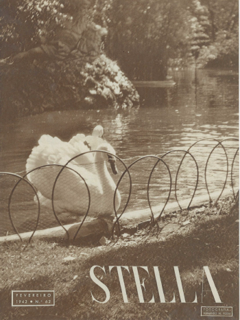 Ver capa da edição Stella nº62