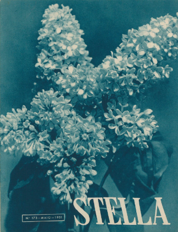 Ver capa da edição Stella Nº173