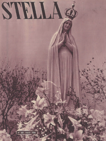 Ver capa da edição Stella Nº221