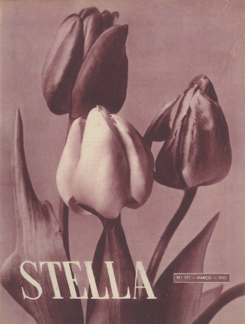 Ver capa da edição Stella Nº171