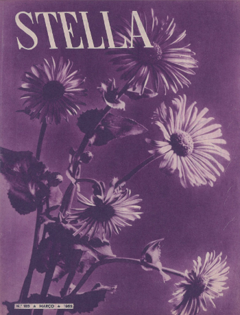 Ver capa da edição Stella Nº183