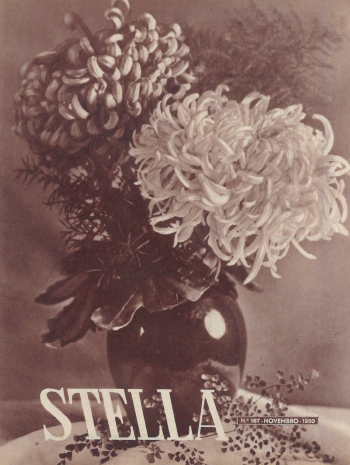 Ver capa da edição Stella Nº167