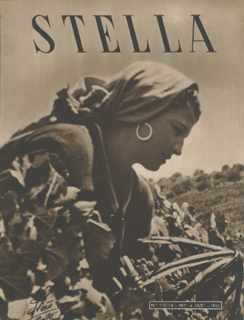 Ver capa da edição Stella Nº213